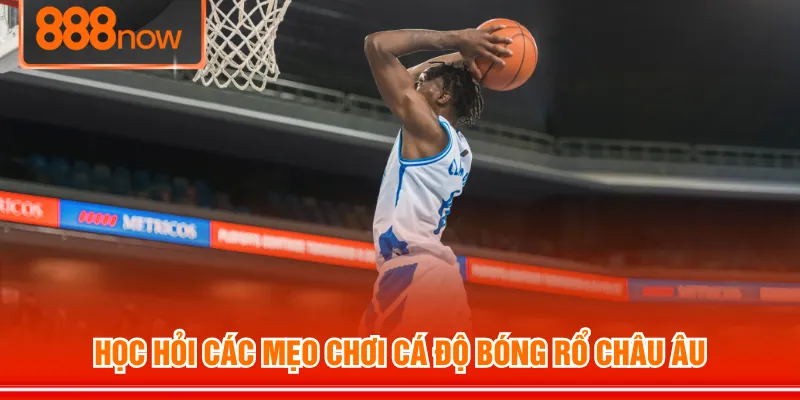 Học hỏi các mẹo chơi cá độ bóng rổ châu Âu