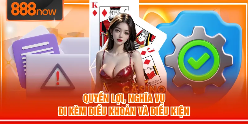 Quyền lợi, nghĩa vụ đi kèm điều khoản và điều kiện